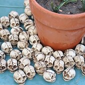 お買い得  ハロウィンの吊るし飾りとテーブルトップ装飾-花瓶に飾るハロウィーンのミニスカルヘッド、ミニチュアガーデン用の笑顔の樹脂製ゴーストスカルセット、テラリウムや鉢植えのディスプレイ用の不気味なハロウィーンプランター装飾