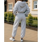 cheap Tracksuits-Women's Tracksuit Sweatpants Pullover Sweatshirt Zipper Pocket Solid Colored Clothing Suit Spring Fall Black Pink Gym Training Running Windproof Long Sleeve Sport Activewear Micro-elastic Regular Fit