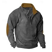 cheap Basic Sweatshirts-Men's Sweatshirt Quarter Zip Sweatshirt Black Wine Camel Light Grey Dark Gray Half Zip Color Block Sports &amp; Outdoor Daily Holiday Polyester Streetwear Basic Casual Spring Autumn / Fall Clothing