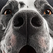  Per uomo Cane Fantasia "Cartone 3D" Maglietta Manica Corta maglietta Stampa 3D Girocollo Camicia Esagerato Designer Feste Streetwear Casuale Nero Marrone Grigio Estate Primavera Tutte le stagioni