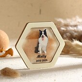 cheap Memorial Gift-Personalized Pet Hair Memorial Gift, Custom Pet Photo Name, Pet Remembrance Ornament to Hold Fur, Sympathy Gift for Dog Cat Loss, Eternal Memory for Pet Owners