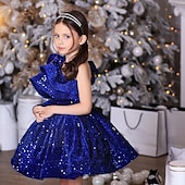 preiswerte Kleider für die Blumenmädchen-Kinder Mädchen Partykleid Einfarbig Langarm Leistung Netz Prinzessin Süß Netzstoff Knöchellang Etui-Kleid Tüllkleid Sommer Frühling Herbst Kinder Wein Blau Purpur