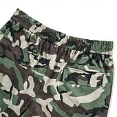 Недорогие Низ-Муж. Брюки карго Штаны для туризма и прогулок походные брюки Камуфляж На открытом воздухе Стандартный Водонепроницаемость С защитой от ветра Быстровысыхающий Легкость Брюки Карман Эластичная талия