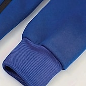 preiswerte Basic-Hoodies für Herren-Herren Kapuzensweatshirt Schwarz Weiß Wein Armeegrün Rote Mit Kapuze Einfach Reißverschluss Farbblock Sport &amp; Outdoor Lässig Täglich Polyester Cool Lässig sportlich Frühling &amp; Herbst Bekleidung