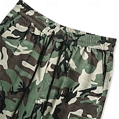 Недорогие Низ-Муж. Брюки карго Штаны для туризма и прогулок походные брюки Камуфляж На открытом воздухе Стандартный Водонепроницаемость С защитой от ветра Быстровысыхающий Легкость Брюки Карман Эластичная талия