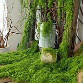 cheap Artificial Plants &amp; Flowers-Realistic Artificial Moss(100g), Durable Plastic DIY Indoor Garden Decor, Natural Green Moss for Glass Terrariums, Planters, Outdoor Landscaping, Textured Garden Accessories