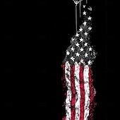  4 juli 2026 250:e Herr Amerikanska amerikanska flaggan Pikétröjor med dragkedja Kortärmad Polotröjor Skjortor med krage Ledigt Fritids- Dagliga kläder 3D-utskrift Sommar Rubinrött Svart