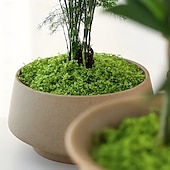 cheap Artificial Plants &amp; Flowers-Realistic Artificial Moss(100g), Durable Plastic DIY Indoor Garden Decor, Natural Green Moss for Glass Terrariums, Planters, Outdoor Landscaping, Textured Garden Accessories