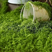 cheap Artificial Plants &amp; Flowers-Realistic Artificial Moss(100g), Durable Plastic DIY Indoor Garden Decor, Natural Green Moss for Glass Terrariums, Planters, Outdoor Landscaping, Textured Garden Accessories