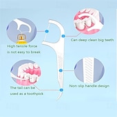 cheap Personal Care &amp; Health-10 Pieces Travel Dental Floss Case-Micro Floss ToothPicks-Portable Flosser Picks Cases Contains Floss Stick 100 Count Sealed Storage for Teeth Cleaning