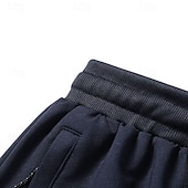 ieftine Pantalonii-Bărbați Παντελόνι πεζοπορίας Palton de iarnă Pantaloni din lână Pantaloni termici Iarnă Toamnă În aer liber Fit regulat Cald Pantaloni Buzunar Talie elastică Gri Închis Negru Camping / Drumeții