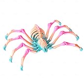 cheap Halloween Hanging &amp; Tabletop Decorations-Halloween 3D Printed Spider Figurine, Large Poseable Spider Toy with Movable Joints, Retractable Articulated Animal Model for Halloween Decoration or Prank Props