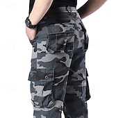 Недорогие Низ-Муж. Брюки карго Штаны для туризма и прогулок походные брюки Камуфляж Весна Осень На открытом воздухе Стандартный Водонепроницаемость С защитой от ветра Быстровысыхающий Легкость Брюки Карман
