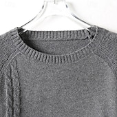 preiswerte Herrenpullover-Herren Pullover Gerippt Zopfmuster Stricken Normale Oberteile Gestrickt Schmale Passform Einfach Rundhalsausschnitt Strickware Moderne zeitgenössische Lässig Alltagskleidung Bekleidung Herbst Winter