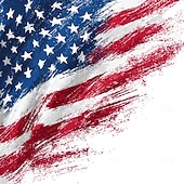  4 juli 2026 250:e Herr Amerikanska flaggan Pikétröjor med dragkedja Kortärmad Polotröjor Skjortor med krage Ledigt Fritids- Dagliga kläder 3D-utskrift Sommar Blå Vit