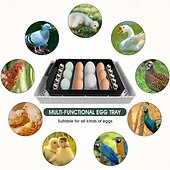 cheap Animal Support &amp; Care-Intelligent Incubator Can Hold 12-18 Eggs LED Digital Temperature Display Automatic Egg Turn and Add Water for Eggs Duck Eggs Parrot Eggs Hatch Very Suitable for Gift Giving Family Farms.