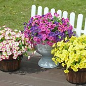 baratos Plantas Artificiais-Pacote com 8 flores artificiais de ipomeia, flores de plástico duráveis e resistentes ao desbotamento para decoração de primavera, Páscoa, Dia dos Namorados, Dia das Mães, decoração de jardim