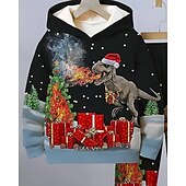 voordelige Jongens 3D Dieren-Jongens 3D Dinosaurus Set met capuchon en joggingbroek Sportoutfit Trainingspakken Lange mouw Lente Herfst Dagelijks Basic Casual Kinderen 4-12 jaar Capuchon Buiten Vakantie Sport Getailleerd