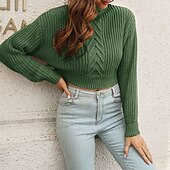 cheap Plain Pullover-Women&#039;s Pullover Casual Solid Color Chunky Turtleneck Knitted Long Sleeve Crop Tops Knit Daily Holiday Going out Brown Green Fall Winter