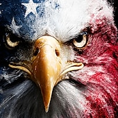 baratos roupas de capuz masculinas estampadas-Dia da Independência Homens American US Flag Águia Moletons Moletom Moletom Moletom com capuz Gola Redonda Casual Impressão 3D Feriado Caça Preto Com Cordão Arte Gráfica Outono Inverno Designer