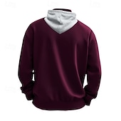 billige grunnleggende hettegensere for menn-Herre Hattetrøje Hettegenser med glidelås Aprikos Svart Hvit Vin Rød Med hette عادي Sport &amp; Utendørs Daglig Ferie Polyester Gatemote Grunnleggende Fritid Vinter Høst Klær Gensere Gensere Langermet