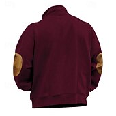 cheap Basic Sweatshirts-Men's Sweatshirt Quarter Zip Sweatshirt Black Wine Camel Light Grey Dark Gray Half Zip Color Block Sports &amp; Outdoor Daily Holiday Polyester Streetwear Basic Casual Spring Autumn / Fall Clothing