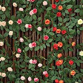 economico Piante e Fiori Artificiali-Bocciolo di rosa artificiale da appendere alla parete, finto fiore rampicante per decorare tubi del condizionatore e del riscaldamento, pianta rampicante in plastica per nascondere e decorare la casa