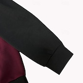 billiga Huvtröja i fleece-Herr Huvtröja Tröja med tröja Huvtröja i fleece Vin Armégrön Marinblå Grå Huva Färgblock Lappverk Färgblock Ledigt Dagligen Sport Polyester Streetwear Häftig Sportkläder Höst Vinter Kläder Pull Tröjor