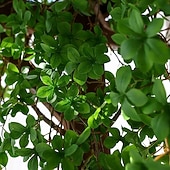 levne Umělé rostliny a zeleň-Umělá závěsná rostlina 90 cm (35,4 palce) z umělé zeleně, girlanda z plastových listů pro domácí dekoraci, umělá vlečná rostlina na zakrytí potrubí, dekorace do obývacího pokoje