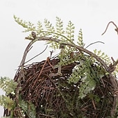 お買い得  彫像-鳥と卵が入った手作りの籐の鳥の巣、結婚式のディスプレイ用の籐の鳥の巣箱の装飾、テーブルのセンターピースや家の装飾用の森風の写真小道具