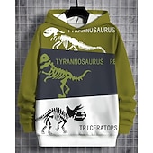 billiga Pojkens 3D-djur-Pojkar 3D Dinosaurie Huvtröja Långärmad Vår Höst Mode Streetwear Barn 4-12 år Huva Utomhus Ledigt Dagligen Normal