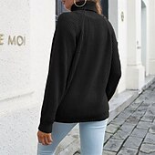 abordables Couleurs unies-Femmes Pull Occasionnel Couleur Unie Épais Col roulé Tricoté manche longue Hauts Réguliers Tricoter Quotidien Fête Sortir Noir Jaune Automne Hiver