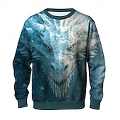 abordables Estampado animal-Hombre Dragón 3D Sudadera Casual Manga Larga Cuello Barco Rosa Azul Piscina Cuello redondo 3D Todas las Temporadas Diseñador