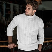 economico maglione pullover da uomo-Per uomo Maglione Maglione a maglia A Coste Treccia Maglia Top Regolari Lavorato a maglia Semplice Dolcevita Moda Casual Vacanza Abbigliamento quotidiano Abbigliamento Autunno &amp; Inverno Cammello