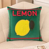 economico Cuscini, inserti e coperture-1 federa per cuscino con motivo a frutta, ricamo boho casual quadrato con cerniera tradizionale classico