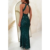 economico Abiti con paillettes-Per donna Abito Lungo Maxi Abito Abito con Paillettes Abito da Cocktail Abito Elegante Moda Moderno Festa serale Cocktail party Vestibilità regolare Semplice Senza Maniche All'americana Nero Rosa