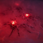 abordables Halloween intérieur-Lot de 2 araignées lumineuses et 2 globes oculaires lumineux pour Halloween, décoration d&#039;ambiance de fête intérieure, lumière d&#039;ornement, lumière d&#039;horreur et d&#039;atmosphère étrange