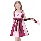 economico Costumi per bambine-Alice nel paese delle meraviglie Fiaba Gatto del Cheshire Vestito Costume Personaggi dei libri di fiabe Carino Cosplay di film for Ragazze Bambini Halloween Carnevale Giornata mondiale del libro