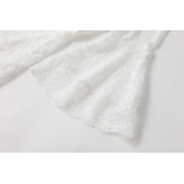 ieftine Rochii Boho-Pentru femei Rochii Midi Rochie de dantela Rochie de epoca Modă Modern În aer liber Vacanță Concediu Fit regulat Simplu Manșon Lung În V Alb Vară