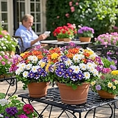 economico Fiore finti-10 fiori artificiali da esterno, decorazioni floreali in plastica, bouquet di margherite artificiali resistenti ai raggi UV, arbusti di fiori artificiali per casa, hotel, ufficio, feste di matrimonio,