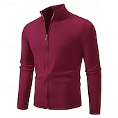 levne pánský svetr cardigan-Pánské Svetr Cardigan Oříznutý svetr Svetr na zip Pletený svetr Rýhovaný Plést Běžné topy Zapni Bez vzoru Stojáček Módní Klasické Dovolená Denní nošení Oblečení Podzim Zima Černá Bordó S M L