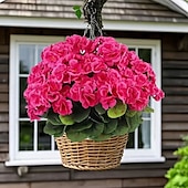 economico Piante e Fiori Artificiali-8 mazzi di fiori di geranio artificiali resistenti ai raggi UV, piante finte rosa vivaci con verde per decorazioni per interni, esterni, giardini e matrimoni.
