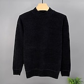 Χαμηλού Κόστους ανδρικό πουλόβερ πουλόβερ-Ανδρικά Πουλόβερ πουλόβερ Πλεκτό πουλόβερ Κοτλέ Πλέκω Κανονικά μπλουζάκια Πλεκτό Φλις Σκέτο Στρογγυλή Ψηλή Λαιμόκοψη Μοντέρνα Βασικό Διακοπές Καθημερινά Ρούχα Ρούχα Φθινόπωρο Χειμώνας