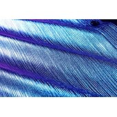 economico Cime-Disco Anni &#039;80 Metallico Lucido Blusa / Camicia Mascherata Disco Tinta unica Per uomo Costume di Carnevale Mascherata Festa / Sera Parata dell&#039;Orgoglio Mese dell&#039;orgoglio Adulti Camicia