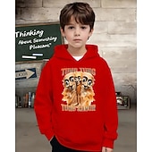 billiga Pojkens 3D Sporter &amp; Spel-Pojkars casual hoodie med tung tung tung saur roligt abstrakt tryck 3D-grafik hoodie långärmad vår höst mode streetwear barn 4-12 år huva utomhus casual daglig normal passform
