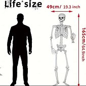 billige Halloween-1 stk. realistisk plastskjelett i naturlig størrelse til halloween-dekorasjon, frittstående, skummel skulptur uten strøm, til hjem, hage, hjemsøkt hus, utendørsdekor