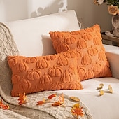 economico Cuscini, inserti e coperture-1 federa per cuscino di Halloween, motivo zucca del Ringraziamento, con cerniera quadrata, classica e tradizionale.