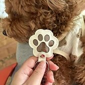 economico I regali-Portachiavi in pelle a forma di zampa di animale domestico, ciondolo creativo per conservare i ricordi dei peli di cane e gatto, grazioso accessorio per la decorazione di borsetta.