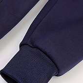 abordables sweats à capuche basiques pour hommes-Homme Sweat à capuche Sweat à capuche zippé intégral Noir Blanche Vin bleu marine Bleu Roi À capuche Uni Zip Up Avec Poches Sport &amp; Loisir Quotidien Fête Polyester Streetwear Basique Occasionnel