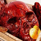 お買い得  ハロウィン-乾燥したスケルトンの骨14個セット、ハロウィーンの国境を越えたスケルトンの飾り、バーの脱出ゲーム、ホラーの装飾小道具、散らばった骨